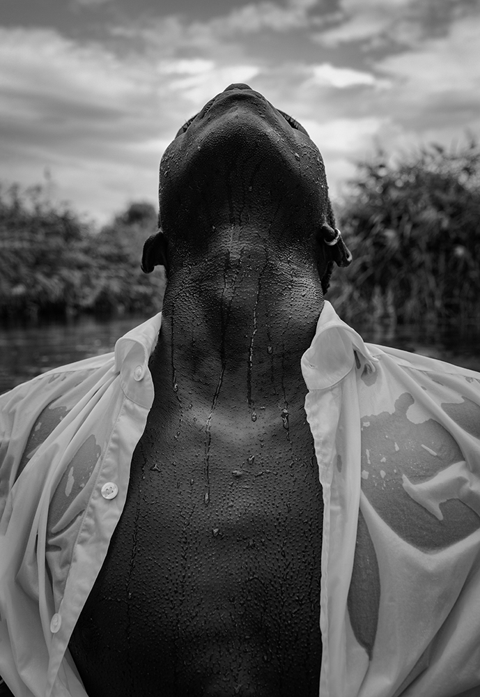 Portrait 104